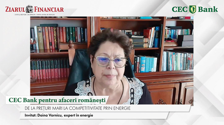 Evoluția sistemului energetic: Doina Vornicu subliniază necesitatea integrării rețelei cu stocarea și consumul