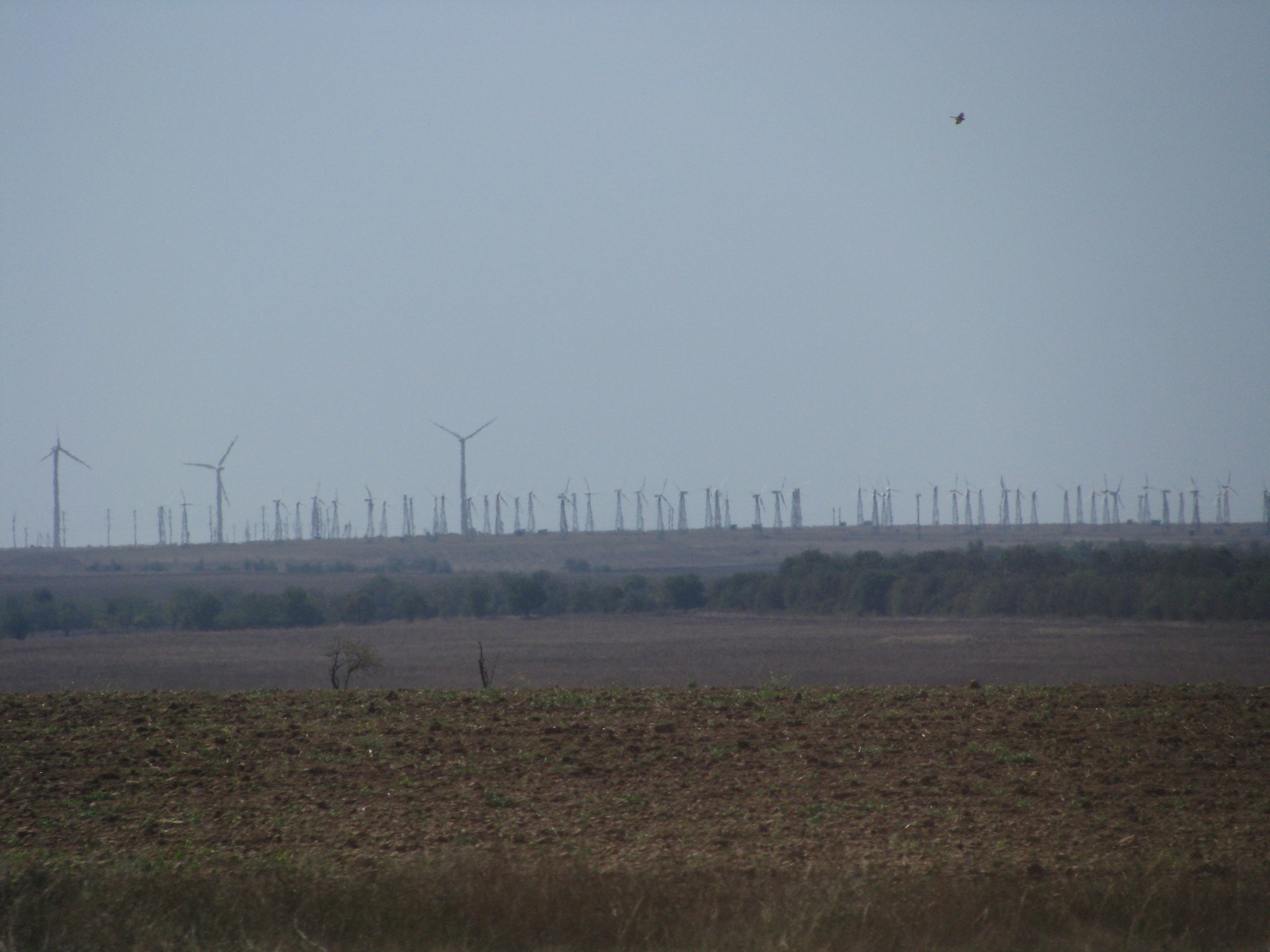 Turbinele eoliene mici pot genera 200 kWh lunar, dar randamentul depinde de locație și vânt