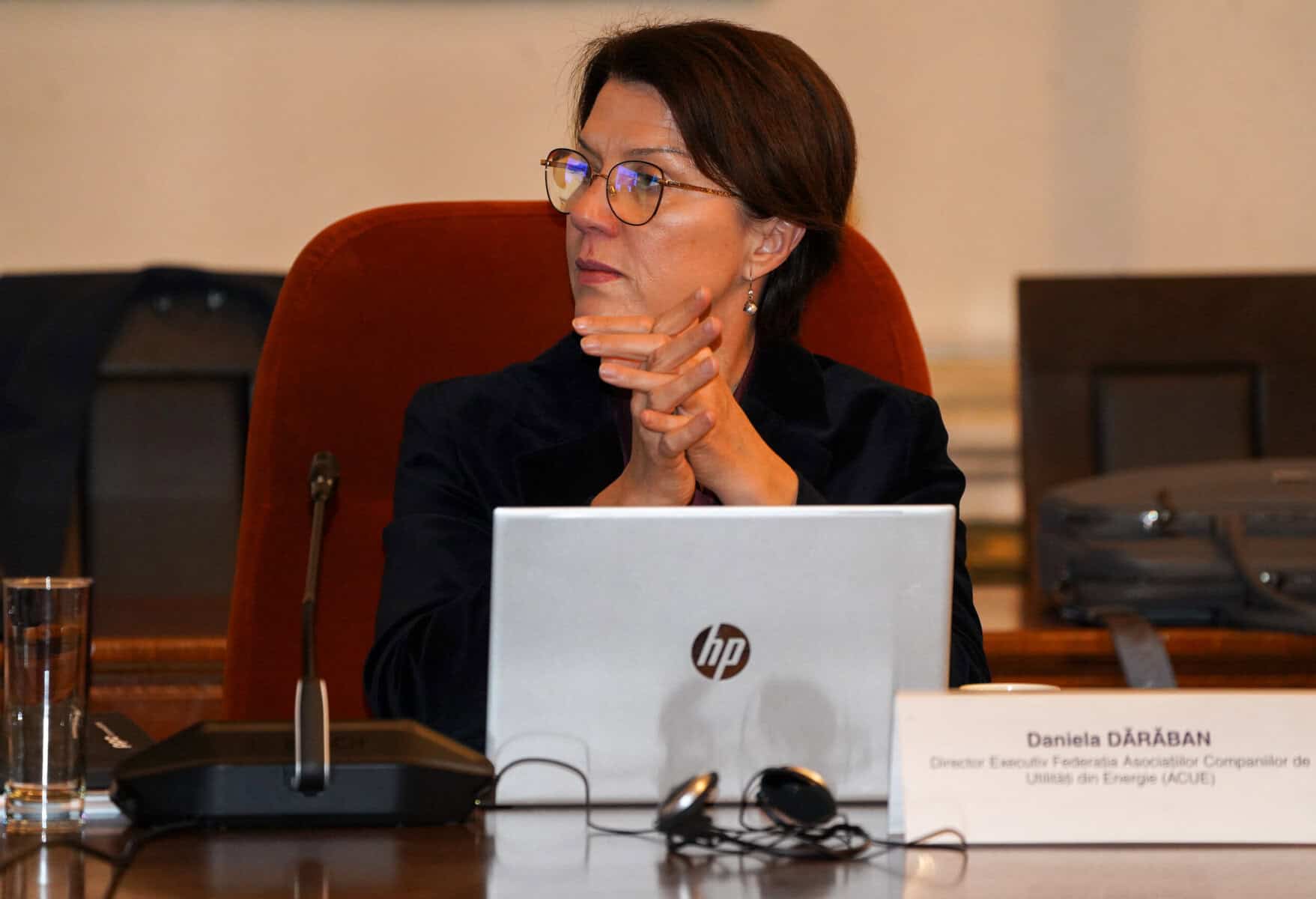 Daniela Daraban: Rețelele de distribuție necesită investiții duble sau triple, dar discuțiile cu statul se limitează la tarif