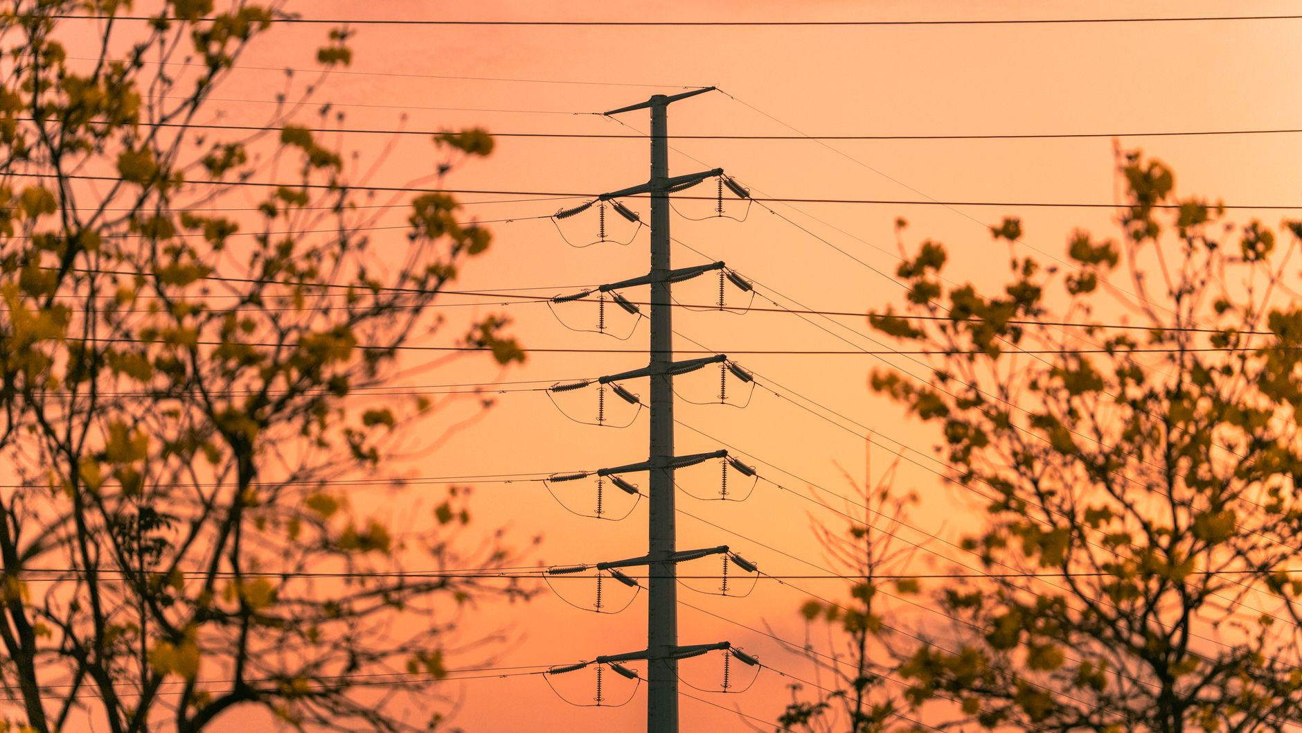 Energia electrică pe piața spot din România a atins cel mai mare preț din Europa: 311 euro/MWh