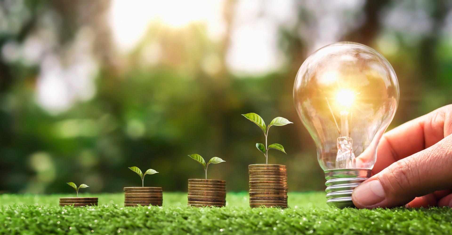 Instituțiile publice pot obține finanțări de până la 10 milioane de euro pentru energie regenerabilă