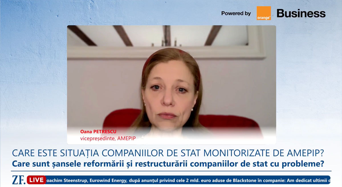 Impactul statului asupra companiilor energetice: riscul de proprietar se reflectă în dividende, nu în prețuri